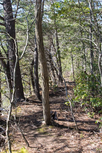 Lin and Michael's Photos