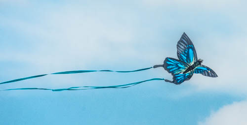 Lin and Michael's Photos