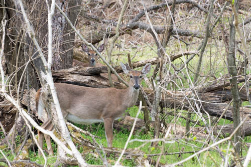 Lin and Michael's Photos