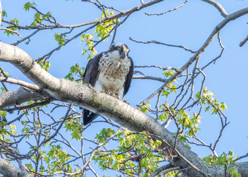 Lin and Michael's Photos