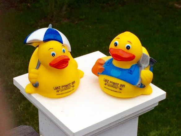 Lin and Michael's Photos