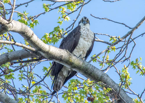 Lin and Michael's Photos