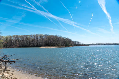 Lin and Michael's Photos