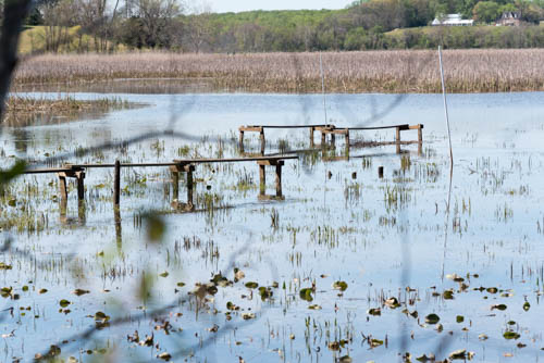 Lin and Michael's Photos