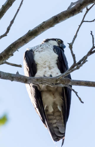 Lin and Michael's Photos