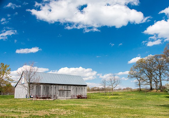 Lin and Michael's Photos