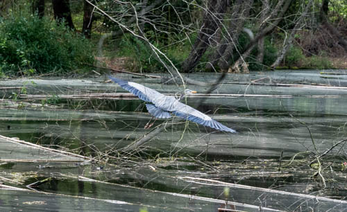 Lin and Michael's Photos