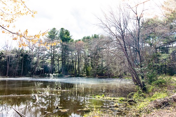 Lin and Michael's Photos