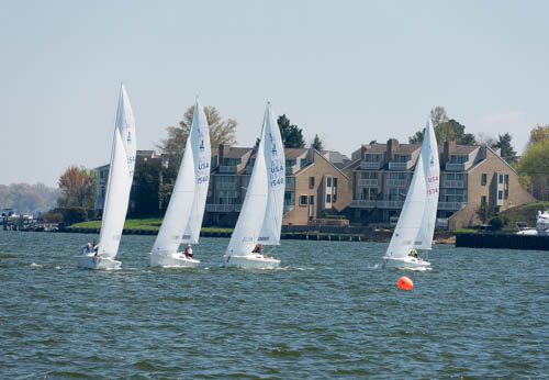 Lin and Michael's Photos