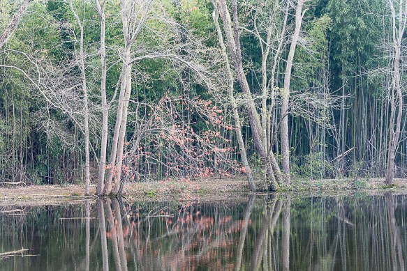 Lin and Michael's Photos