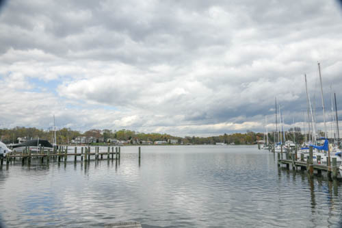 Lin and Michael's Photos