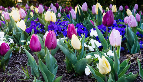 Lin and Michael's Photos