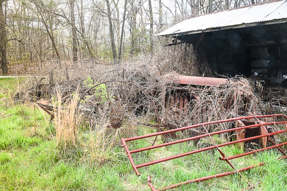 Lin and Michael's Photos