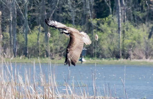 Lin and Michael's Photos