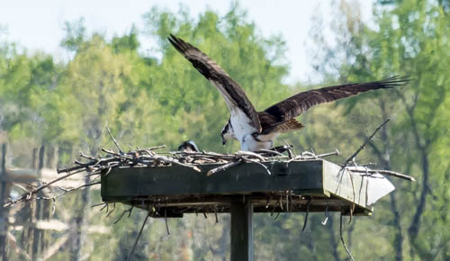 Lin and Michael's Photos