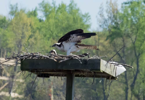 Lin and Michael's Photos