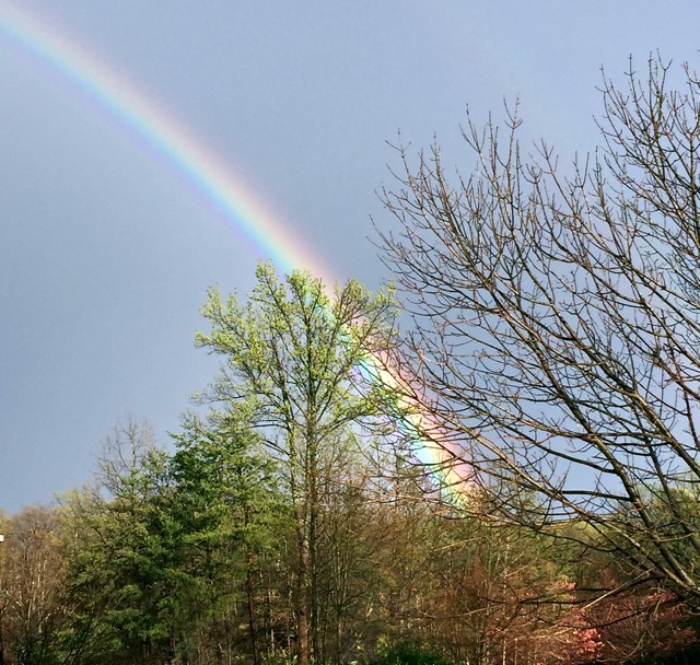 Lin and Michael's Photos