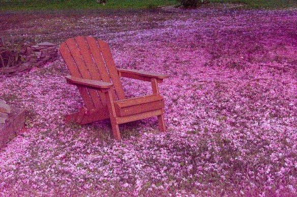 Lin and Michael's Photos