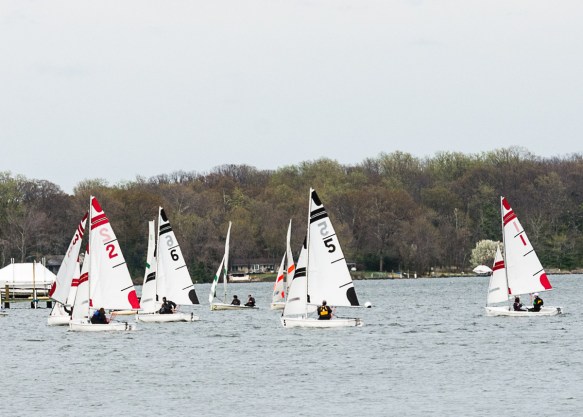 Lin and Michael's Photos