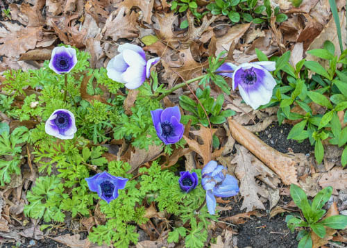 Lin and Michael's Photos