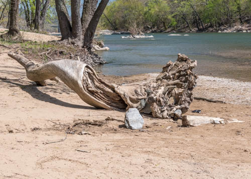 Lin and Michael's Photos