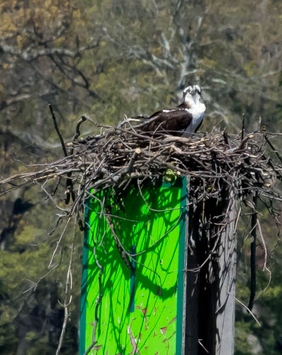 Lin and Michael's Photos