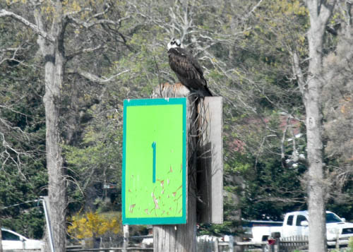 Lin and Michael's Photos