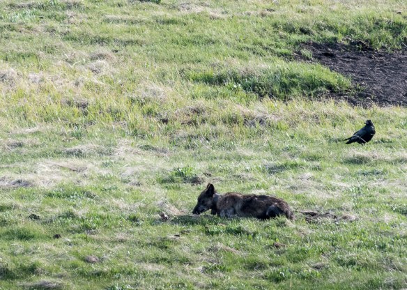 Lin and Michael's Photos