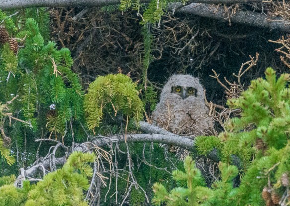 Lin and Michael's photos