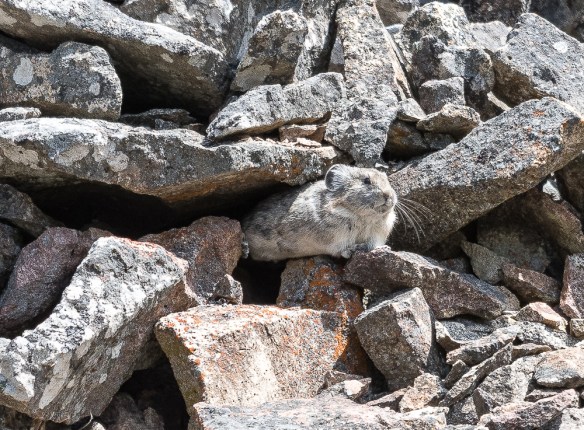 Lin and Michael's Photos