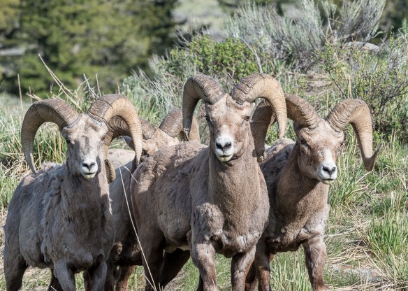 Lin and Michael's Photos