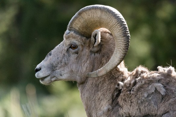 Lin and Michael's Photos