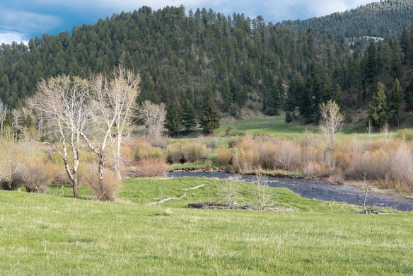 Lin and Michael's Photos