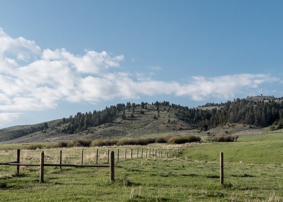 Lin and Michael's Photos