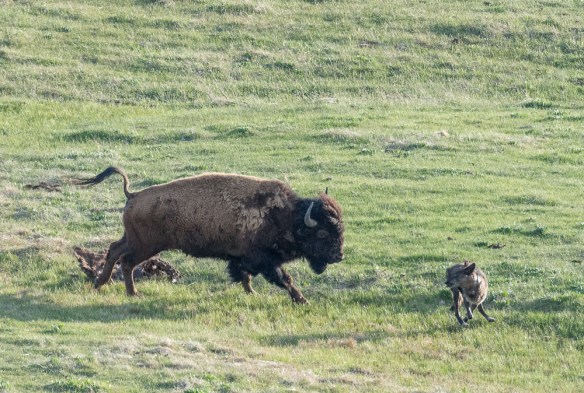 Lin and Michael's Photos