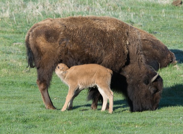 Lin and Michael's Photos