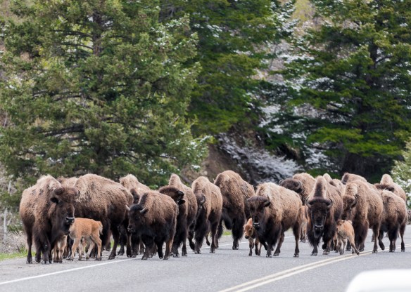 Lin and Michael's Photos