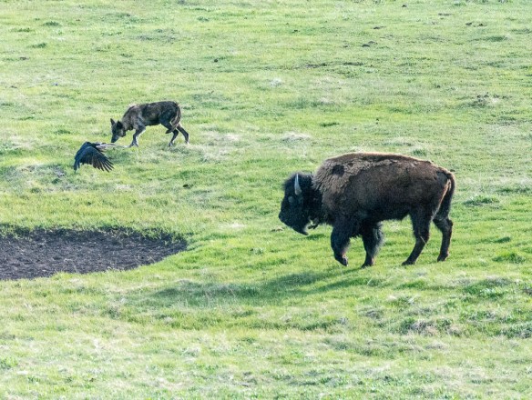 Lin and Michael's Photos