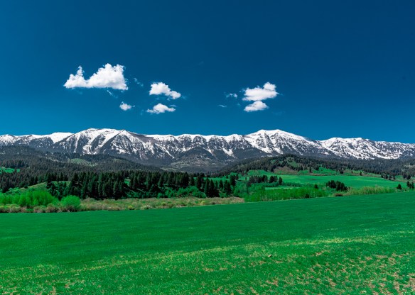 Lin and Michael's Photos