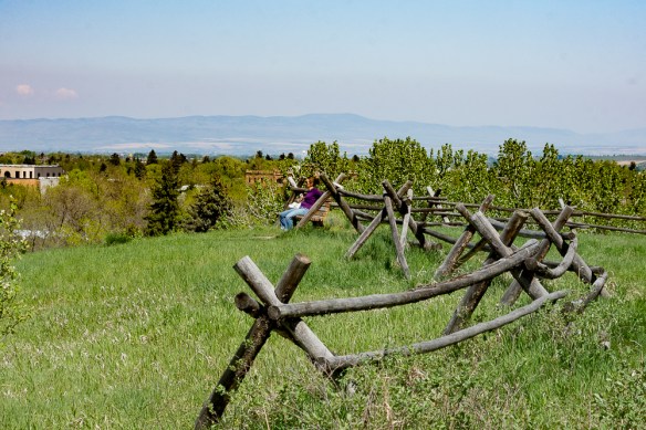 Lin and Michael's Photos