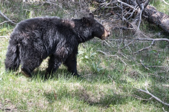 Lin and Michaels Photos