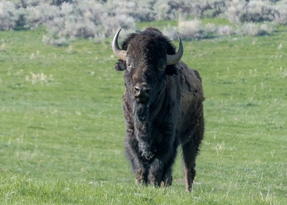 Lin and Michael's Photos