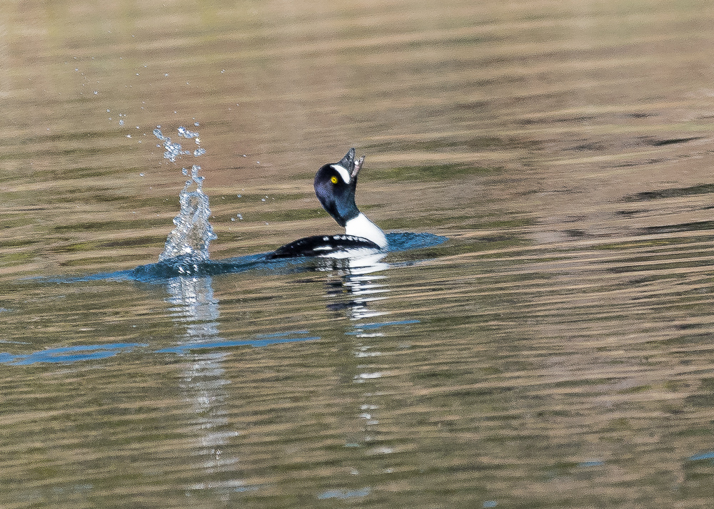 Lin and Michael's Photos