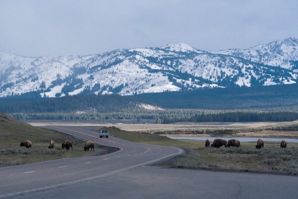 Lin and Michael's Photos