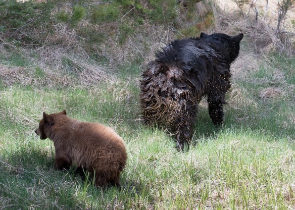 Lin and Michael's Photos