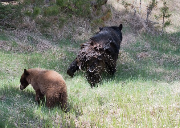 Lin and Michael's Photos