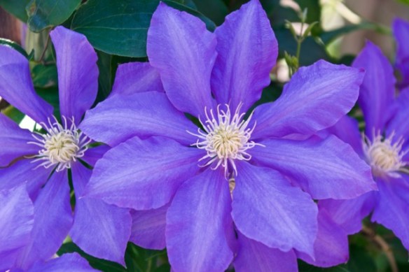 Lin and Michael's Photos