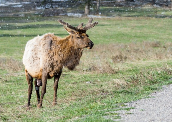 Lin and Michael's Photos