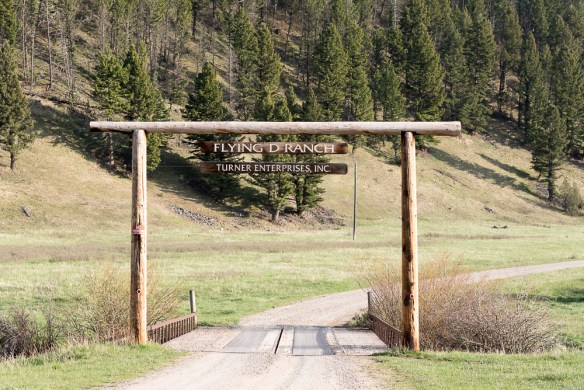 Flying D Ranch