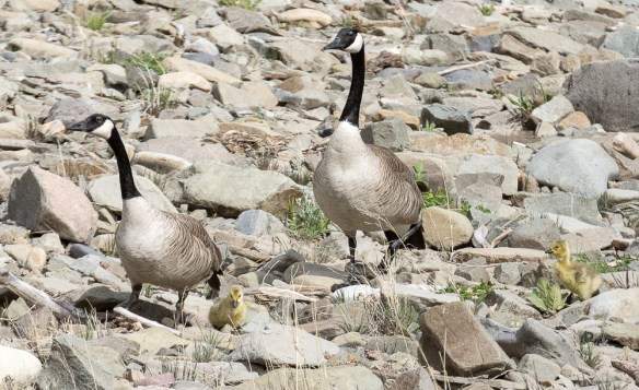 Lin and Michael's Photos